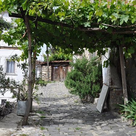 Lakeview Apartments Ohrid Buitenkant foto